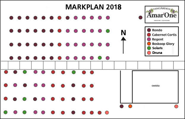 Markplan 2018