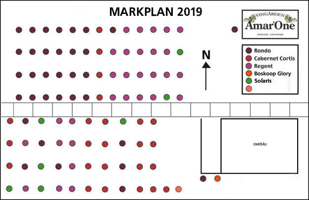 Markplan 2018
