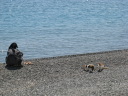 IMG_0116.JPG
