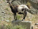 IMG_0204.JPG
