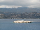 IMG_0260.JPG