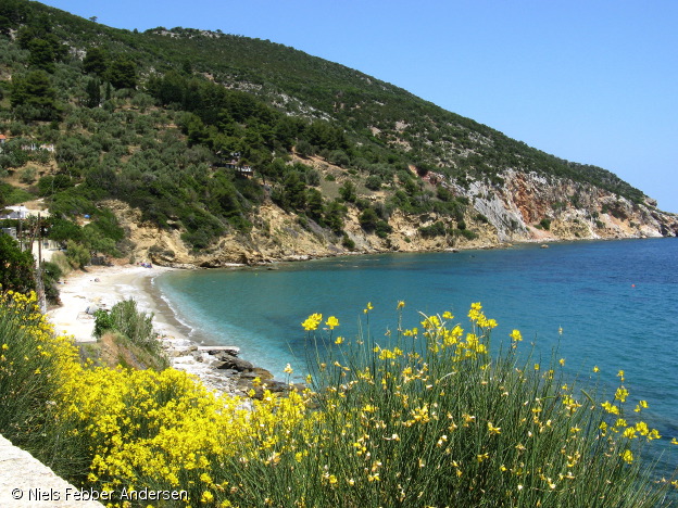 skopelos_0932.jpg