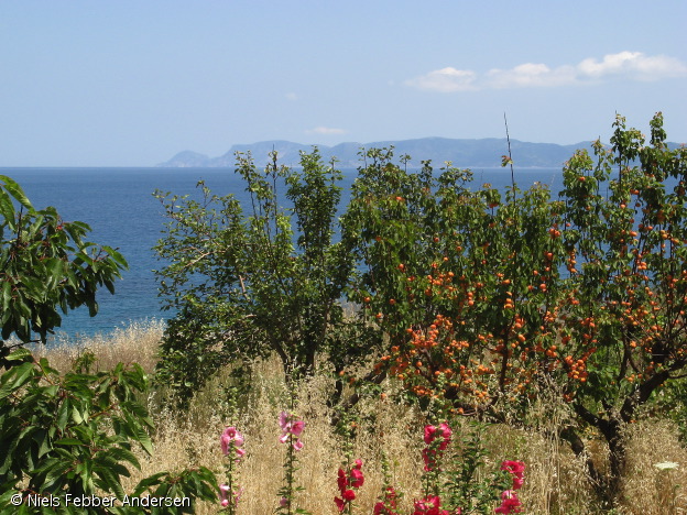 skopelos_0933.jpg