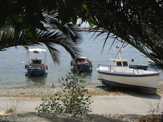 skopelos_0971.jpg