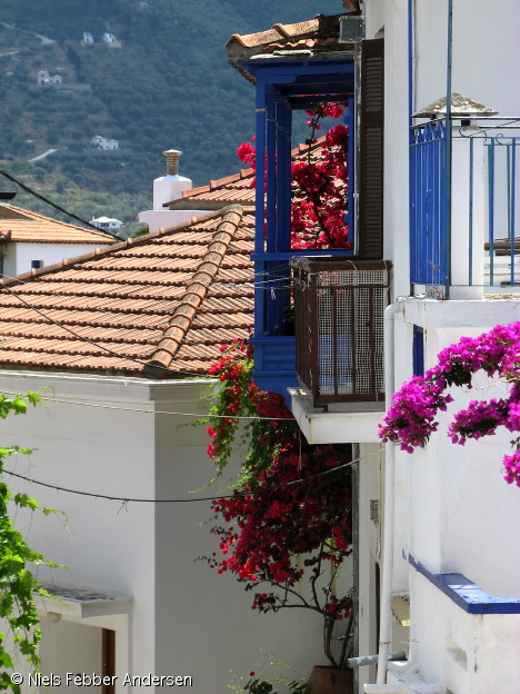 skopelos_1005.jpg