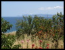 Skopelos_0933.jpg